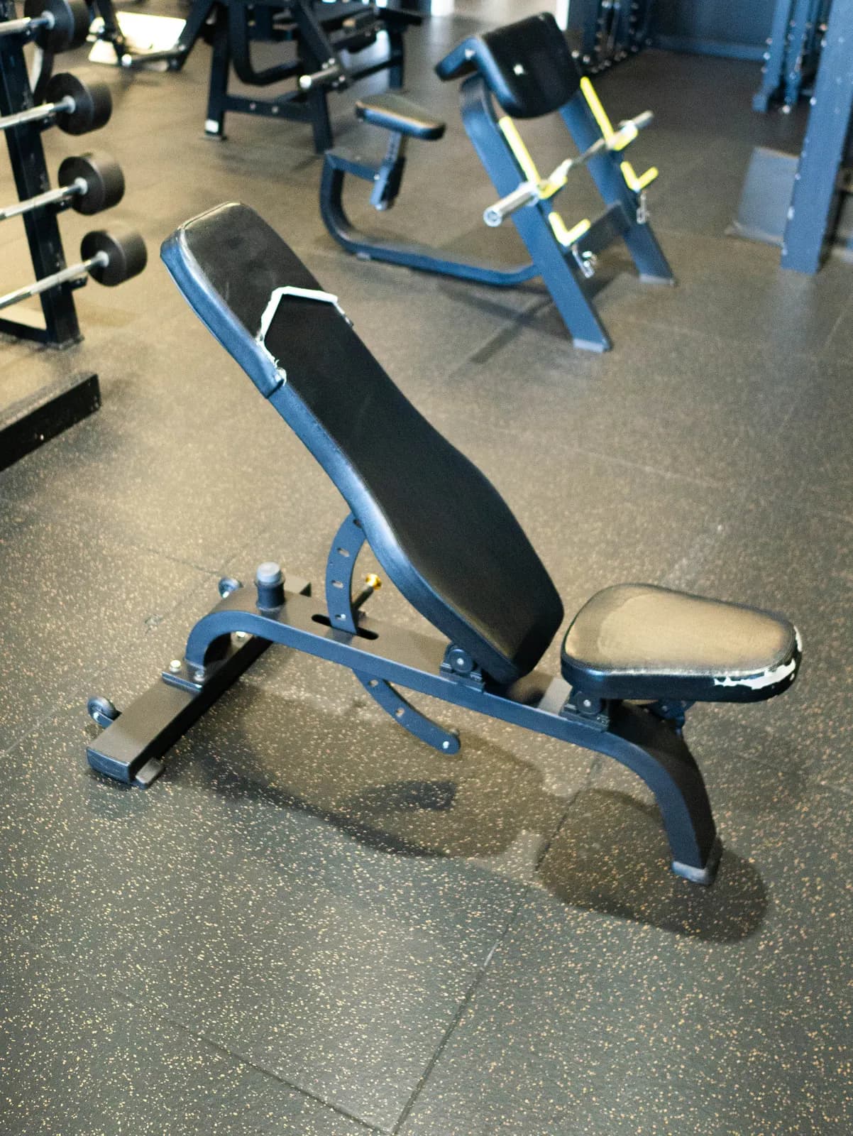 Free Weights Bench at Inception Gym Christchurch
